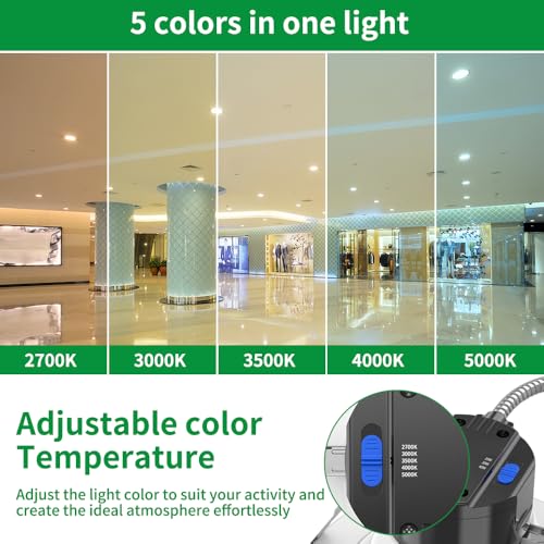 6 Inch Commercial LED Downlights 120-277Vac, 0-10V Dimmable, 6PK