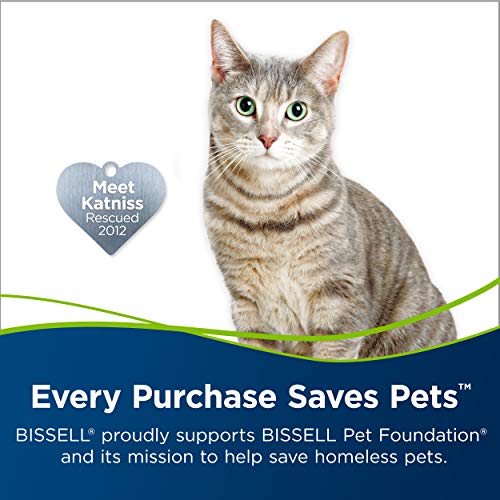 Bissell 2X Pet Stain & Odor Full Size Machine Formula,60 ounces,99K52,(Pack of 2) - size: 60 Fl Oz (Pack of 2)