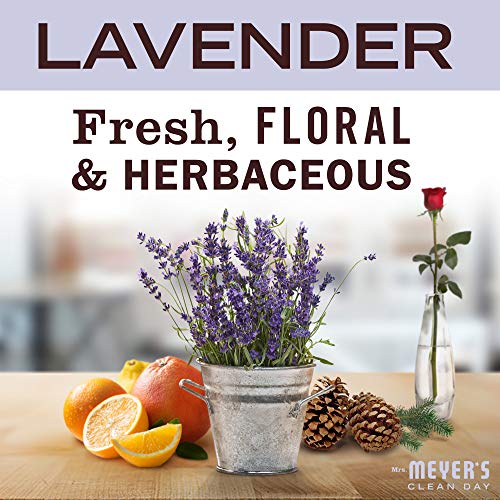 MRS. MEYER'S CLEAN DAY Multi-Surface Cleaner Concentrate, Use to Clean Floors, Tile, Counters, Lavender, 32 fl. oz (Pack of 2) - size: 32 Fl Oz (Pack of 2)