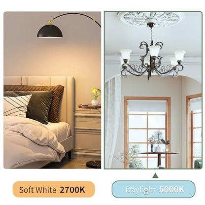 evelor A19 LED Light Bulbs,100 Watt Equivalent,5000K Daylight,4-Packs - color: Daylight 5000k, size: 4 Pcs