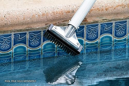 Poolmaster 5-Inch Stainless Steel Pool Algae Detail Brush, Heavy-Duty Aluminum Back, for Gunite Concrete Pools and Spas, Small Narrow Head for Corners, Steps and Tight Areas 5-Inch (Pack of 12) - size: 5-Inch (Pack of 12)