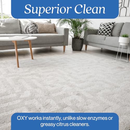 Oxy Pet Carpet Cleaner Spray | Pet Stain Remover for Pet Urine, Cat Pee, Dog Poop | Deep Spot Treating Action on Carpeting, Upholstery, Laundry, Pet Beds & More (160 Fl Oz) - size: 160 Fl Oz (Pack of 1)