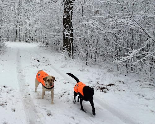 Blaze Orange Dog Vest. Reflective High Visibility in Hunting & Wooded Areas - size: Large