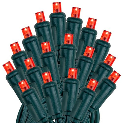 Novelty Lights 50ft 100 LED Red Christmas Lights, Green Wire String Lights - color: Red