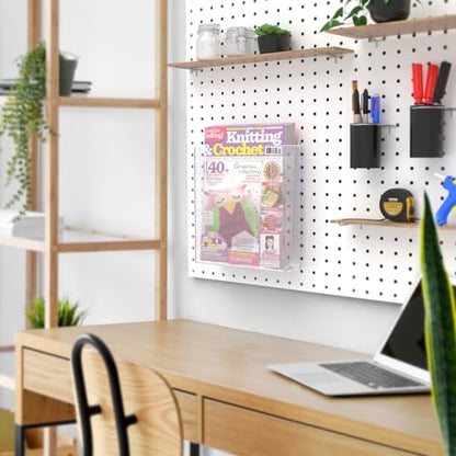 Marketing Holders PegBoard Catalog Holder Clear Plastic 8.5" Literature Display Peg Board Large Brochure Display Advertisement Organizer - size: 8 1/2"W PegBoard Mount