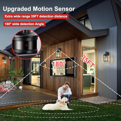 Motion Sensor Porch Light Dusk to Dawn Outdoor Wall Light - color: Black