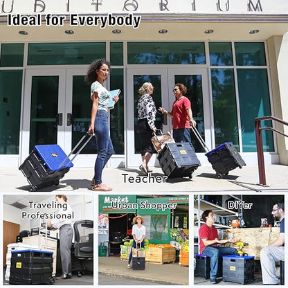 dbest Products Quik Cart Standard Collapsible Rolling Crate - Blue Lid - color: Black, Blue, style: Standard