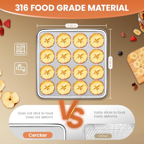 Food-Dehydrator Machine Adjustable Temperature 12 Trays 800W Food Dryer - size: 12 trays