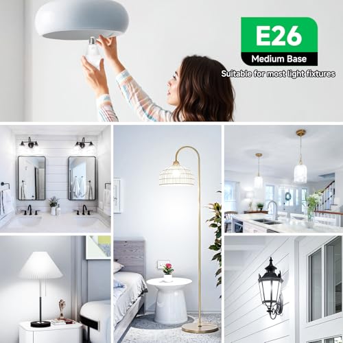 MAXvolador 12-Pack A19 LED Light Bulbs, 100 Watt Equivalent LED Bulb, 5000K Daylight White, 1100 Lumens, E26 Medium Base, CRI 85+, Non-Dimmable - color: Daylight White