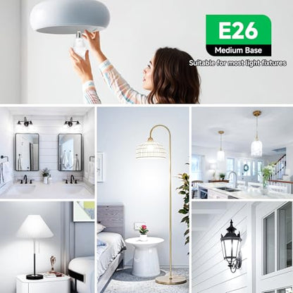 MAXvolador 12-Pack A19 LED Light Bulbs, 100 Watt Equivalent LED Bulb, 5000K Daylight White, 1100 Lumens, E26 Medium Base, CRI 85+, Non-Dimmable - color: Daylight White