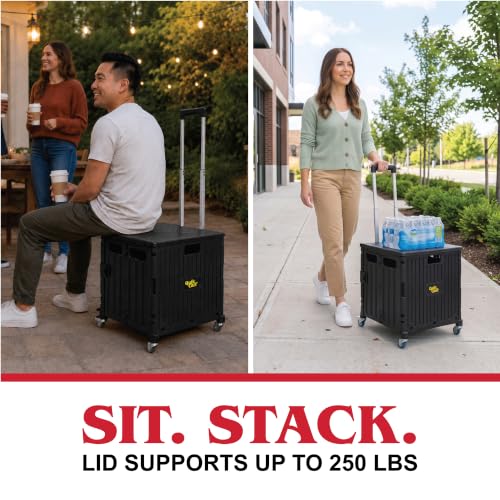 dbest Products Quik Cart 360 Collapsible Rolling Crate on Wheels - Black - color: Black, style: 360