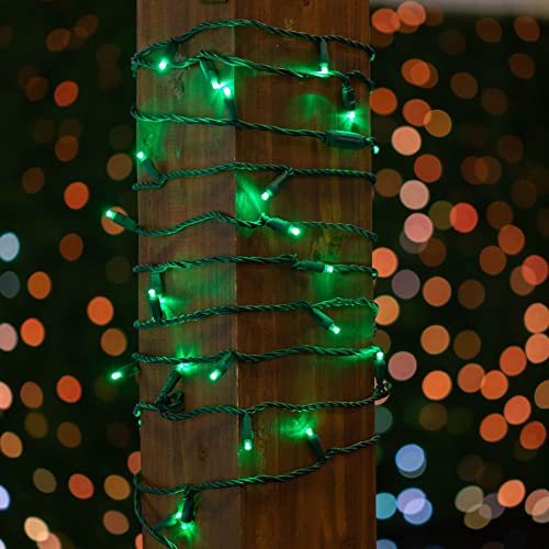Novelty Lights 50ft 100 LED Green Christmas Lights, Outdoor & Indoor - color: Green