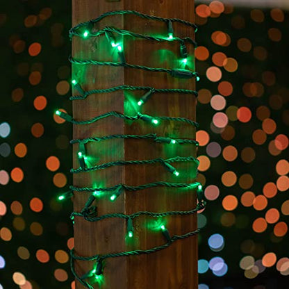 Novelty Lights 50ft 100 LED Green Christmas Lights, Outdoor & Indoor - color: Green