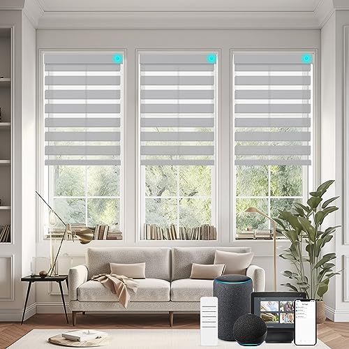 Changshade Custom Smart Motorized Zebra Roller Blinds Shades for Indoor Windows Doors Remote Control, Cordless Electric Automatic Customized Size Compatible with Alexa, Google Home（Charcoal Gray） - color: Light Charcoal Gray, size: Smart-Custom Size
