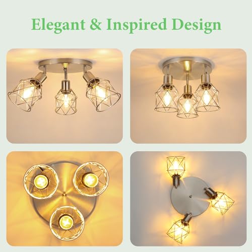 WILON 3 Light Track Lighting Fixture Ceiling Light Kitchen Brushed Nickel - color: Brushed Nickel, size: 3-Light-Cage
