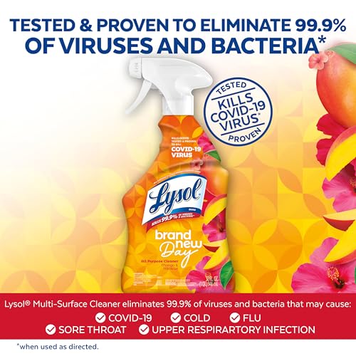 LYSOL Foaming Bathroom Cleaner & Disinfectant Spray, Mango Scent, 32 oz - size: 32 Fl Oz (Pack of 1), style: Mango & Hibiscus