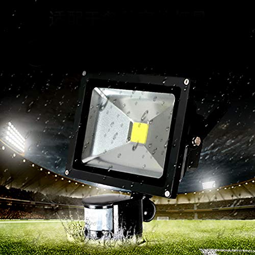 LED Outdoor 110-220V Infrared PIR Motion Sensor Detector Wall Light Switch 180°1pc