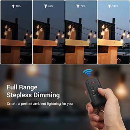 DEWENWILS Outdoor Dimmer for String Lights, 100FT Remote Switch Range