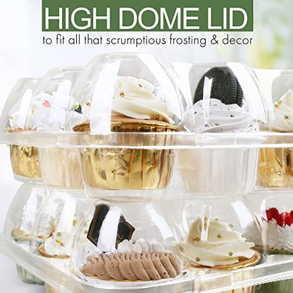 LotFancy 12 Count x 20 Sets Cupcake Containers, Clear Plastic Cupcake Boxes - size: Standard (20 sets)