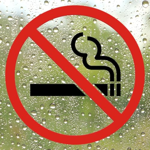 dealzEpic - Clear Transparent No Smoking Sign - Self Adhesive Peel and Stick Decal for Glass Door or Window - Pack of 16 Stickers - color: No Smoking Sign (Samll Sized, Style D)