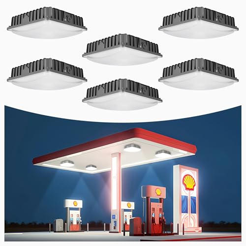 100W LED Canopy Light 6Pack: 100W, 5000K, 150LM/W, 100-277VAC, ETL Listed - size: 100W-5000K