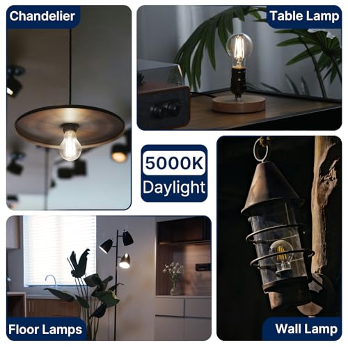 FLSNT 60W Equivalent Dimmable A19 LED Light Bulbs, Efficient 7W, 800Lumens, 5000K Daylight, CRI82, E26 Standard Base, 15000 Hours, LED Filament Light Bulbs, Clear Glass, 8 Pack - color: 60w Daylight, size: 8 Count (Pack of 1)