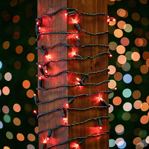 Novelty Lights 50ft 100 LED Red Christmas Lights, Green Wire String Lights - color: Red