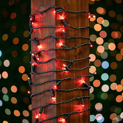 Novelty Lights 50ft 100 LED Red Christmas Lights, Green Wire String Lights - color: Red