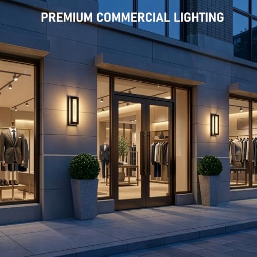 LEONLITE 5CCT 19 Inch LED Outdoor Wall Light, Rectangular Frame