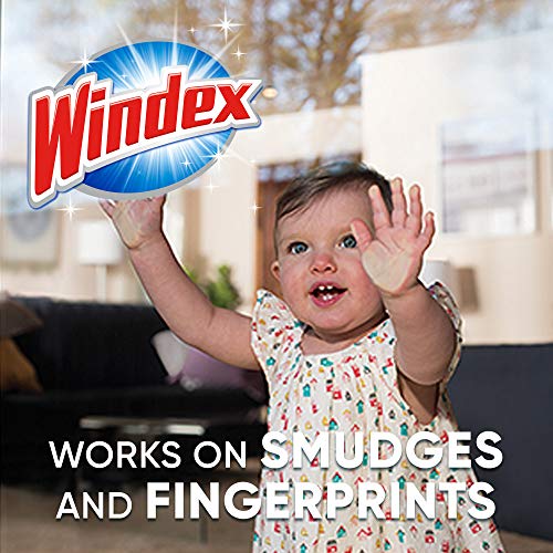 Windex Glass Cleaner Concentrate, Two 2.9 Ounce Concentrated Refill Bottles