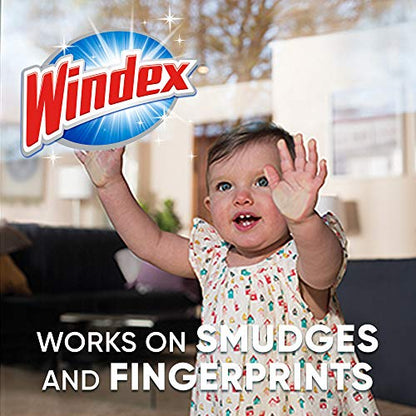 Windex Glass Cleaner Concentrate, Two 2.9 Ounce Concentrated Refill Bottles