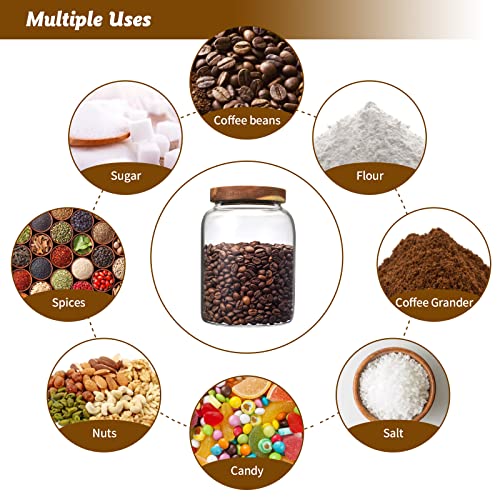 Glass Coffee Storage Jar with Lids Scoop Round Glass Coffee Ground Containers Borosilicate Glass Food Canister for Cereals Oats Beans Nut Sugar Candy Spice Rice Tea - color: 2000ml/67 oz