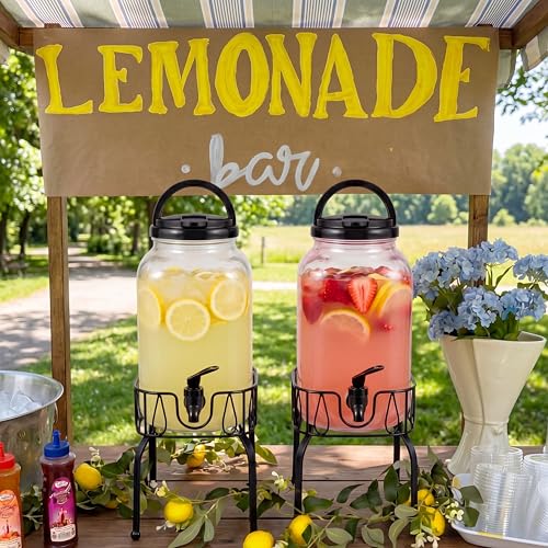 Tanlade 2 Pcs Plastic Drink Dispenser with Metal Stand 1 Gallon, Black - color: Black