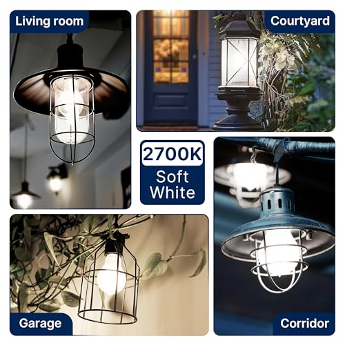 FLSNT 100W Eqv Dimmable A21 LED Bulbs, 1600LM, 5000K Daylight, E26, 8 Pack - color: 100w 5000k Daylight, size: 8 Count (Pack of 1)