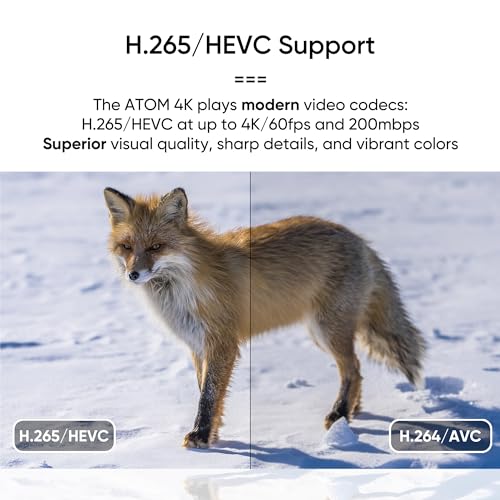 NEUMI Atom 4K Digital Media Player for USB and SD Cards (Renewed)