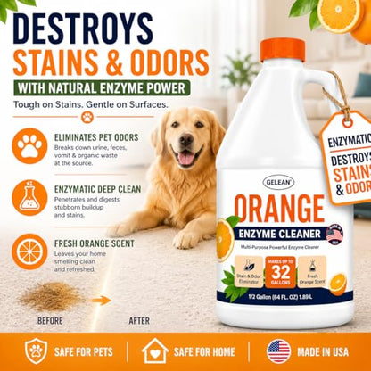 Multi-Purpose Probiotic Enzyme orange Cleaner, 1/2 Gallon (64 oz.) - Pet Stain and Odor Remover - Concentrated - Professional & Home Strength Drains, Floors, Bathrooms, Toilets Trash Can, Made in USA