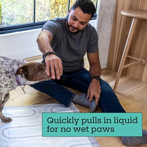 Pet Life Unlimited Smart Prints XL Puppy Pads for Dogs, Potty Training Pee Pads, 26 Count, 26" x 30", Leak-Proof, Super Absorbent, Quick-Dry, Patterned Pads with Odor Control, Made in USA - size: XL 26" x 30" 26-Count