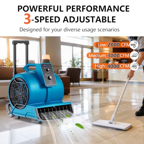 Air Mover 1 HP 4000 CFM Air Mover Blower Fan, Carpet Dryer, Floor Dryer Fan - color: Blue