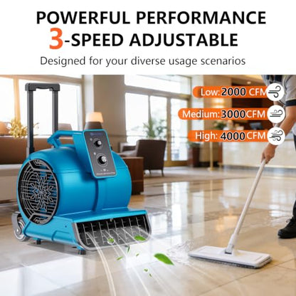 Air Mover 1 HP 4000 CFM Air Mover Blower Fan, Carpet Dryer, Floor Dryer Fan - color: Blue