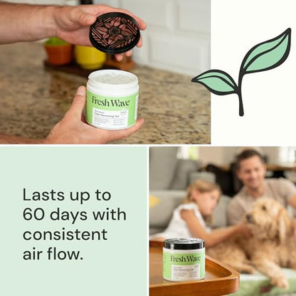 Fresh Wave Original Odor Eliminator Gel 2Pk 15 oz - Air Freshener for Home - size: 15 Fl Oz (Pack of 2)