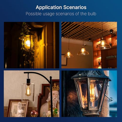 FLSNT 100W Equivalent LED Edison Bulbs, ST19 Dimmable Antique LED Light Bulbs, 2450K Warm White, 8W, 900LM, E26 Base, Amber Glass, 12 Pack - color: 100w 2450k Warm White, size: 12 Count (Pack of 1)