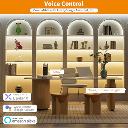 PAUTIX CCT LED Controller Kit SP542E Wi-Fi+Bluetooth, Compatible with Alexa/Google Assistant, App Control RF Remote, CCT LED Dimmer for LED Strip Light, Timing Function, Music Mode, Group Control - size: SP542E(For CCT, Support voice activation)
