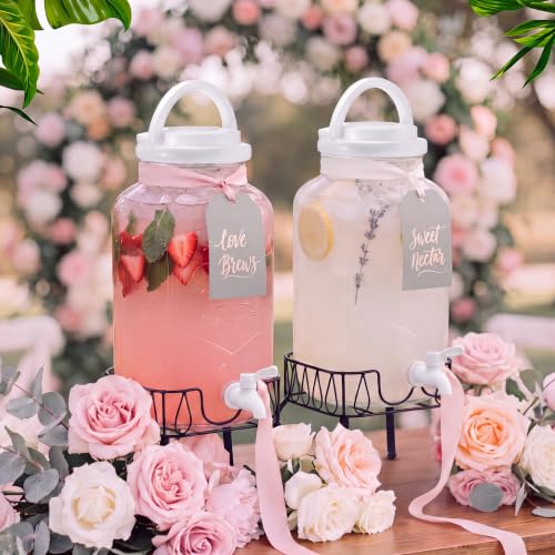 Tanlade 2 Pcs Plastic Drink Dispenser with Metal Stand 1 Gallon, White - color: White