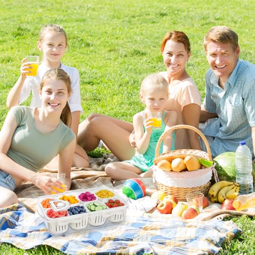 Veggie Tray Divided Serving Tray with Lid, Salad Bar Container for Fridge - color: 8 Colanders