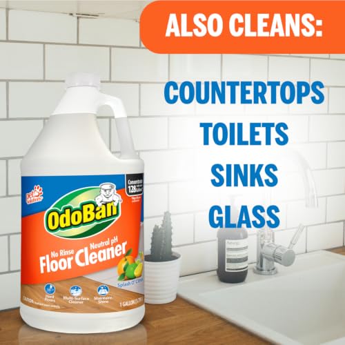 OdoBan Pet Solutions No Rinse Neutral pH Floor Cleaner Concentrate, Made in the USA, Splash O' Citrus Scent, 2 Gallons - size: 128 Fl Oz (Pack of 2)