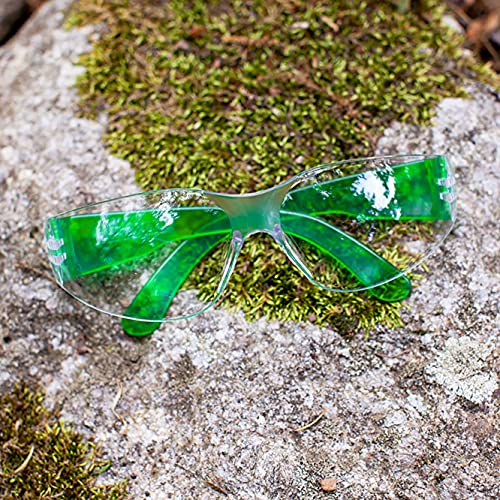 BISON LIFE Clear/Green Safety Glasses for Men & Women, ANSI Z87.1, 12 Pack - color: Clear/Green