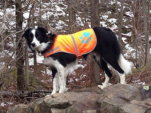 Blaze Orange Dog Vest. Reflective High Visibility in Hunting & Wooded Areas - size: Medium