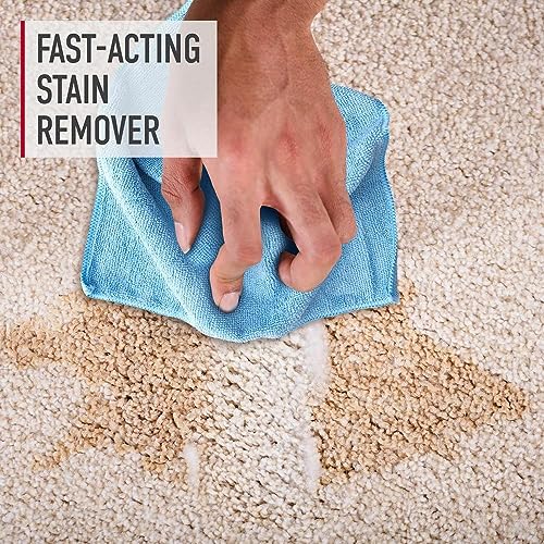 Hoover Pet Pre-Treat Spot and Stain Remover Spray, 22 oz., Pet Formula for Carpet and Upholstery, Tackles Tough Pet Messes and Stains, Pair Carpet or Spot Cleaner - style: 22 oz Stain Remover