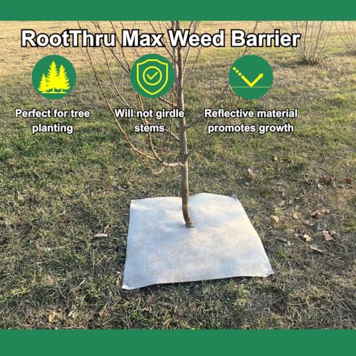 Max Weed Barrier, 34 in x 250 ft, Natural, Eco-Friendly, Heavy-Duty, Durable, Landscape Fabric, Garden Ground Cover, Paper Mulch, Gardening Weed Mat, Geotextile Fabric, Weed Blocker - size: 34" x 250 ft