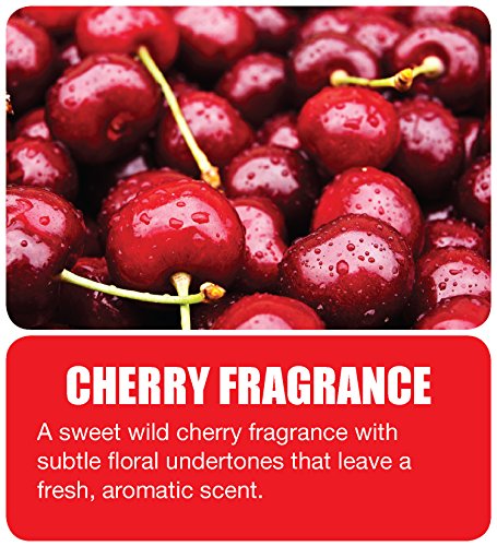 Big D 657 Non-para Urinal Toss Block, Cherry Fragrance, 1000 Flushes (Pack of 12) - Ideal for restrooms in Offices, Schools, Restaurants, Hotels, Stores - Urinal Deodorizer Cake Mint Puck